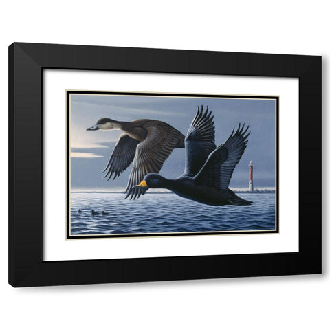 1990 Black Scoters Black Modern Wood Framed Art Print with Double Matting by Goebel, Wilhelm