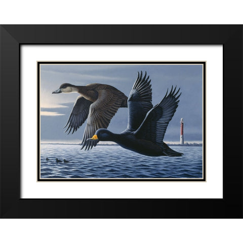 1990 Black Scoters Black Modern Wood Framed Art Print with Double Matting by Goebel, Wilhelm
