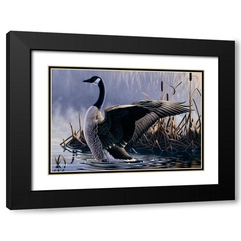 1992 Canada Goose Black Modern Wood Framed Art Print with Double Matting by Goebel, Wilhelm