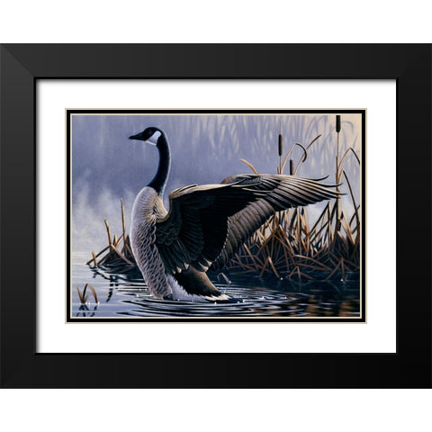 1992 Canada Goose Black Modern Wood Framed Art Print with Double Matting by Goebel, Wilhelm