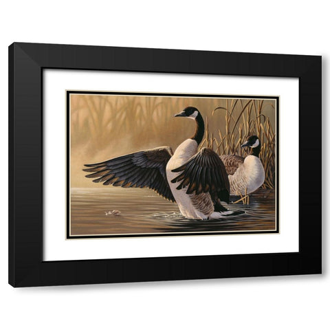 1994 Canada Geese Black Modern Wood Framed Art Print with Double Matting by Goebel, Wilhelm