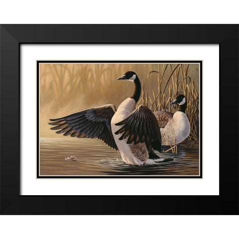 1994 Canada Geese Black Modern Wood Framed Art Print with Double Matting by Goebel, Wilhelm