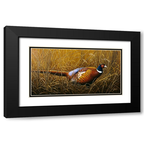 Sneaking Through The Long Grass - Ring Neck Pheasant Black Modern Wood Framed Art Print with Double Matting by Goebel, Wilhelm