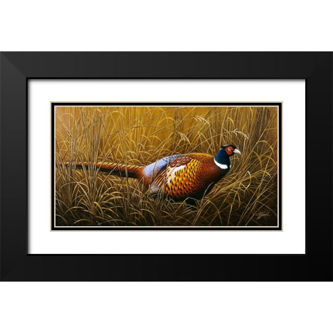 Sneaking Through The Long Grass - Ring Neck Pheasant Black Modern Wood Framed Art Print with Double Matting by Goebel, Wilhelm