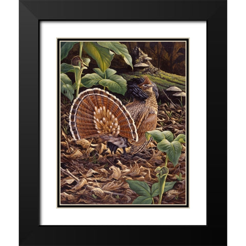 May Display - Ruffed Grouse Black Modern Wood Framed Art Print with Double Matting by Goebel, Wilhelm