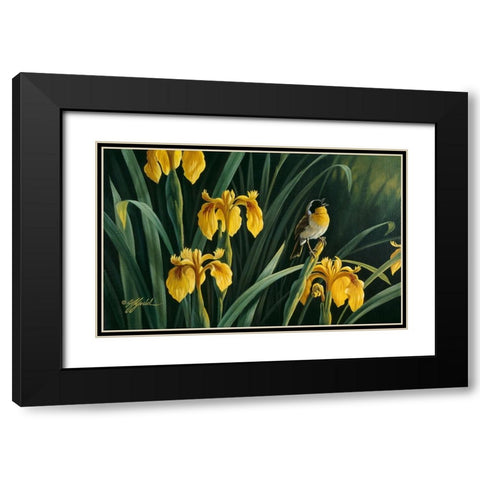 Yellow Flags And Yellowthroat Black Modern Wood Framed Art Print with Double Matting by Goebel, Wilhelm