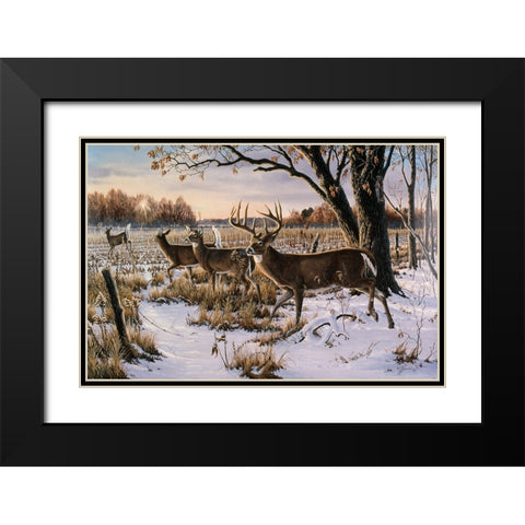 Cautious Crossing - Whitetails Black Modern Wood Framed Art Print with Double Matting by Goebel, Wilhelm