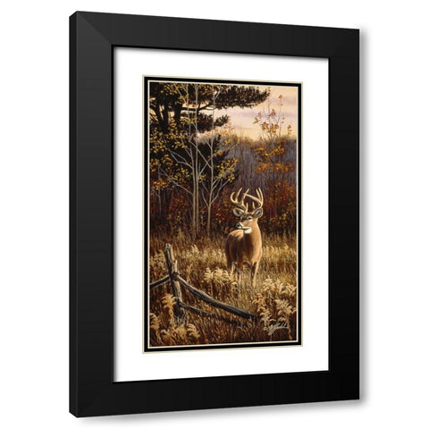 Autumn Whitetail Black Modern Wood Framed Art Print with Double Matting by Goebel, Wilhelm