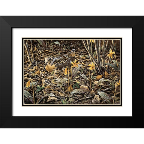 Early Brood - Woodcock Young Black Modern Wood Framed Art Print with Double Matting by Goebel, Wilhelm