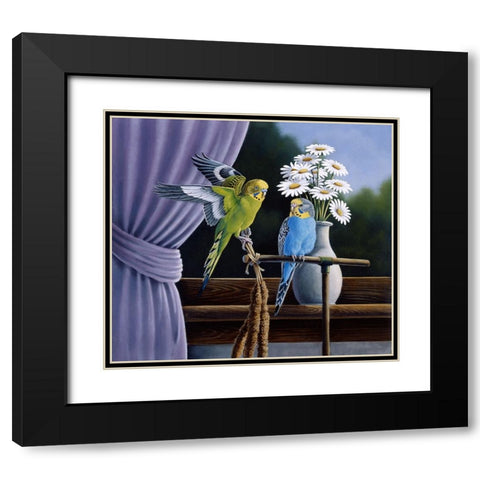 Parakeets Black Modern Wood Framed Art Print with Double Matting by Goebel, Wilhelm