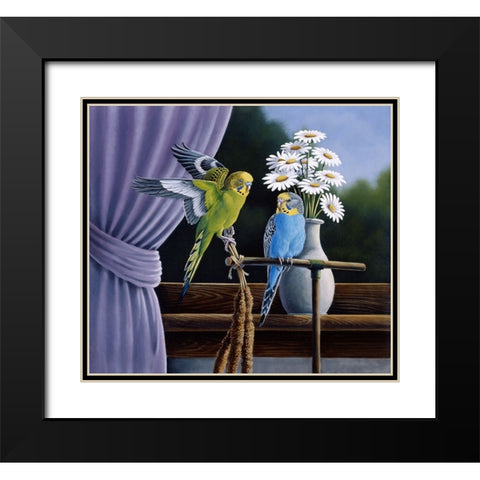 Parakeets Black Modern Wood Framed Art Print with Double Matting by Goebel, Wilhelm