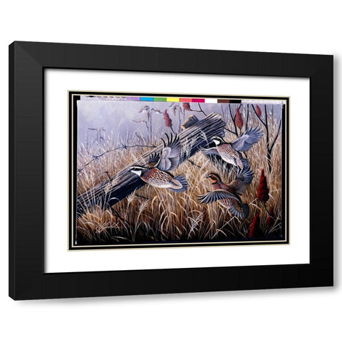 Corner Post Covey - Bobwhite Black Modern Wood Framed Art Print with Double Matting by Goebel, Wilhelm