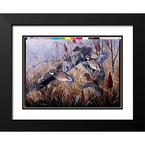 Corner Post Covey - Bobwhite Black Modern Wood Framed Art Print with Double Matting by Goebel, Wilhelm