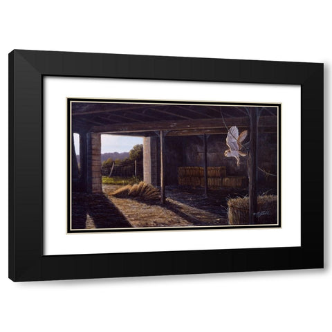 On Silent Wings - Barn Owl Black Modern Wood Framed Art Print with Double Matting by Goebel, Wilhelm