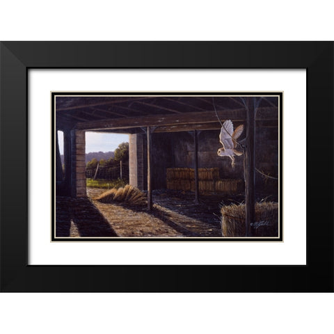 On Silent Wings - Barn Owl Black Modern Wood Framed Art Print with Double Matting by Goebel, Wilhelm