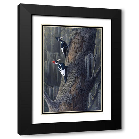 Legends Of The Pearl Black Modern Wood Framed Art Print with Double Matting by Goebel, Wilhelm