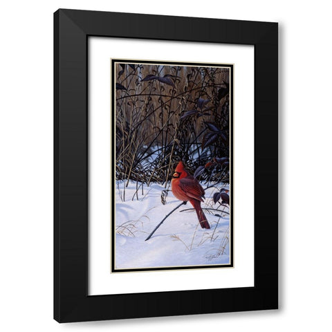 Roadside Cardinal Black Modern Wood Framed Art Print with Double Matting by Goebel, Wilhelm