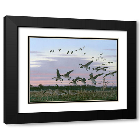 Wings Over Delmarva Black Modern Wood Framed Art Print with Double Matting by Goebel, Wilhelm