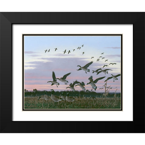 Wings Over Delmarva Black Modern Wood Framed Art Print with Double Matting by Goebel, Wilhelm