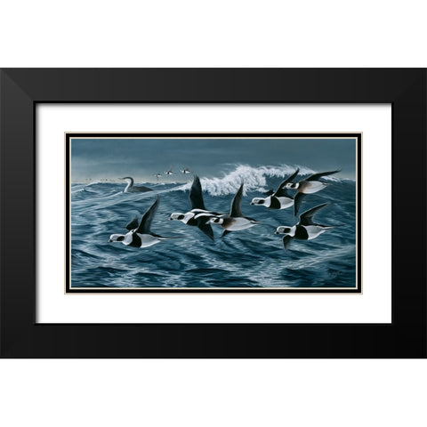 Rough Day On The Bay - Oldsquaw Ducks Black Modern Wood Framed Art Print with Double Matting by Goebel, Wilhelm