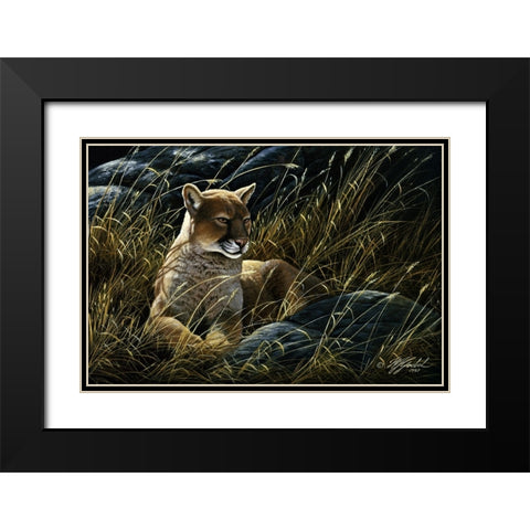 Cougar In The Grass Black Modern Wood Framed Art Print with Double Matting by Goebel, Wilhelm