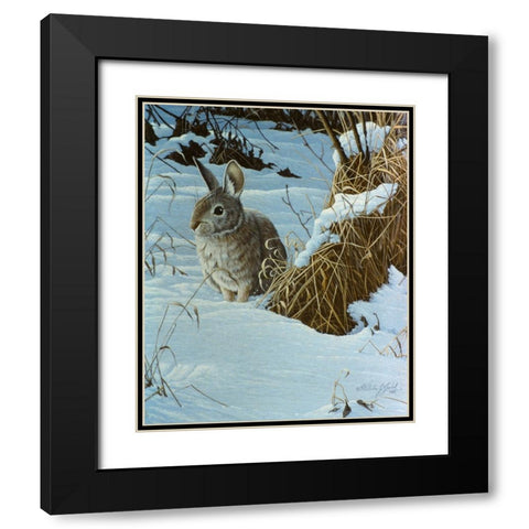 Snow Cover Cottontail Black Modern Wood Framed Art Print with Double Matting by Goebel, Wilhelm