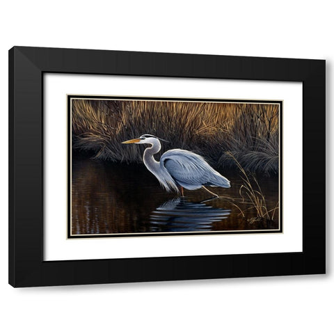 Making Strides - Great Blue Heron Black Modern Wood Framed Art Print with Double Matting by Goebel, Wilhelm
