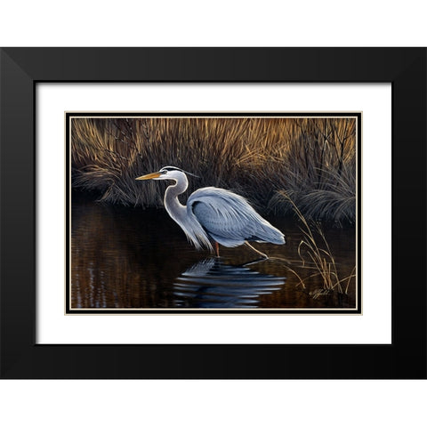 Making Strides - Great Blue Heron Black Modern Wood Framed Art Print with Double Matting by Goebel, Wilhelm