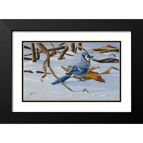 Bluejay Black Modern Wood Framed Art Print with Double Matting by Goebel, Wilhelm