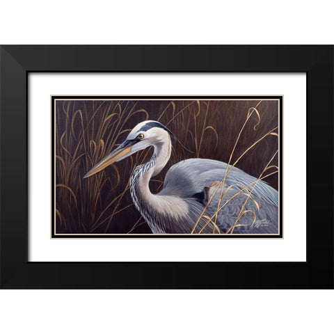 Great Blue Heron Black Modern Wood Framed Art Print with Double Matting by Goebel, Wilhelm