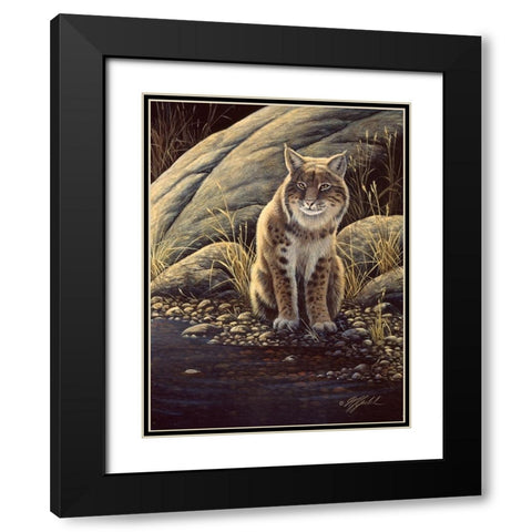 Backlight-Bobcat Black Modern Wood Framed Art Print with Double Matting by Goebel, Wilhelm