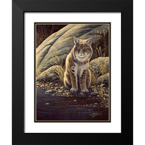 Backlight-Bobcat Black Modern Wood Framed Art Print with Double Matting by Goebel, Wilhelm