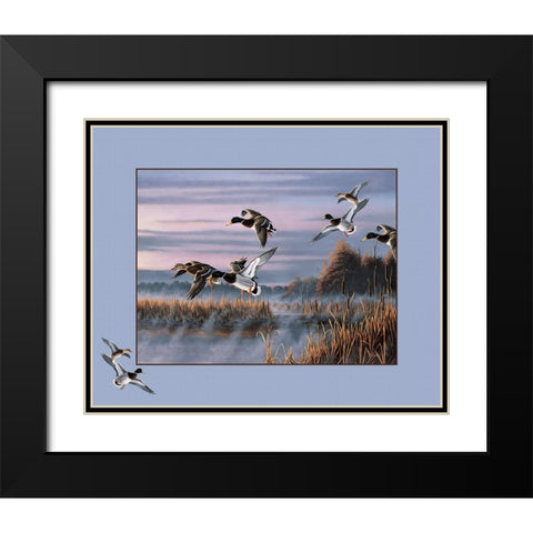 Ducks In Flight 1 Black Modern Wood Framed Art Print with Double Matting by Goebel, Wilhelm