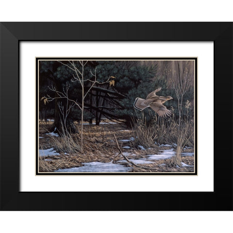 Grouse On The Wing Black Modern Wood Framed Art Print with Double Matting by Goebel, Wilhelm