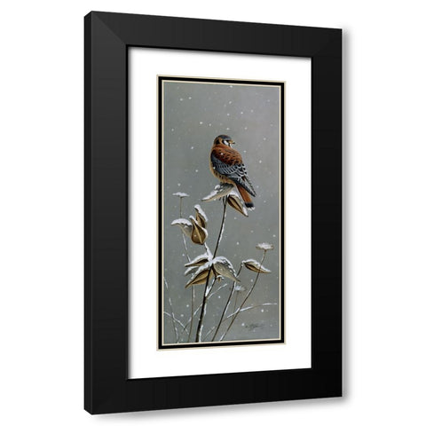 Gentle Snowfall - Kestrel Black Modern Wood Framed Art Print with Double Matting by Goebel, Wilhelm