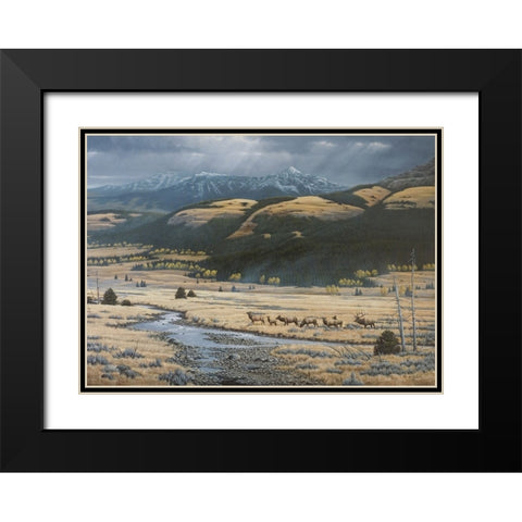 Big Valley Elk Black Modern Wood Framed Art Print with Double Matting by Goebel, Wilhelm