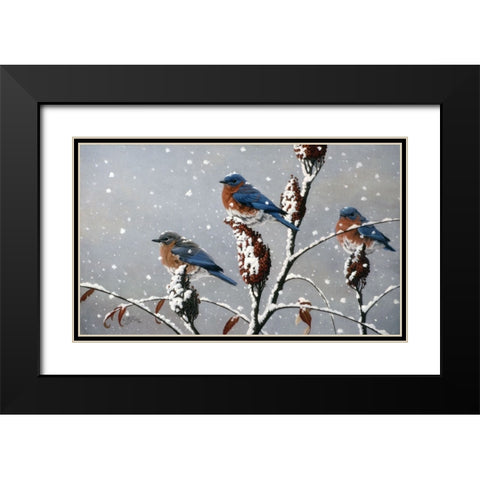 Winter Trio Black Modern Wood Framed Art Print with Double Matting by Goebel, Wilhelm