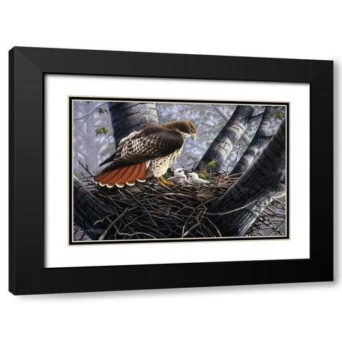 In The Nest Black Modern Wood Framed Art Print with Double Matting by Goebel, Wilhelm