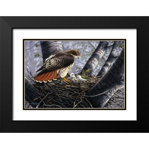 In The Nest Black Modern Wood Framed Art Print with Double Matting by Goebel, Wilhelm