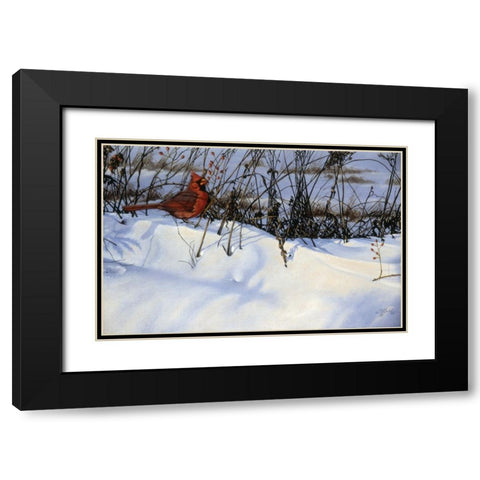 Winter Cardinal Black Modern Wood Framed Art Print with Double Matting by Goebel, Wilhelm