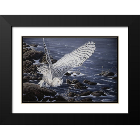 Winter Shore - Snowy Owl Black Modern Wood Framed Art Print with Double Matting by Goebel, Wilhelm