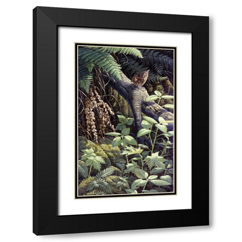 On A Limb Black Modern Wood Framed Art Print with Double Matting by Goebel, Wilhelm