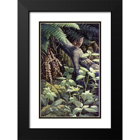 On A Limb Black Modern Wood Framed Art Print with Double Matting by Goebel, Wilhelm