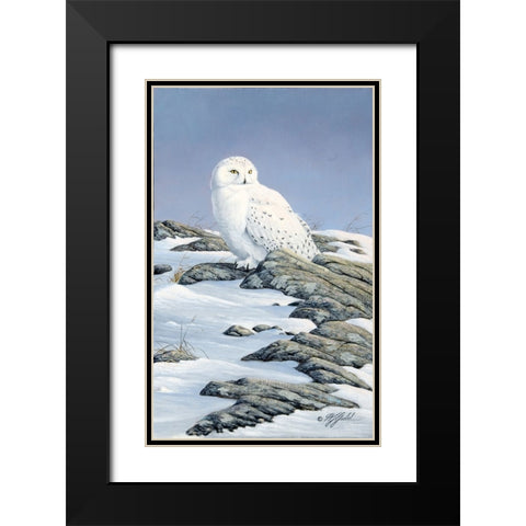 Snowy Owl Black Modern Wood Framed Art Print with Double Matting by Goebel, Wilhelm