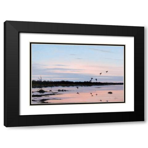 Sunset March Black Ducks Black Modern Wood Framed Art Print with Double Matting by Goebel, Wilhelm