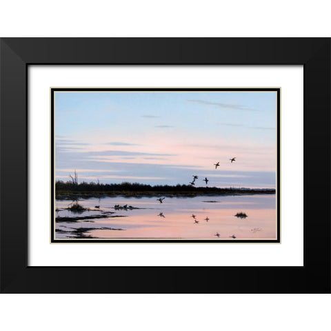 Sunset March Black Ducks Black Modern Wood Framed Art Print with Double Matting by Goebel, Wilhelm