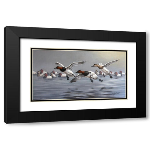 Canvasbacks Coming In Black Modern Wood Framed Art Print with Double Matting by Goebel, Wilhelm