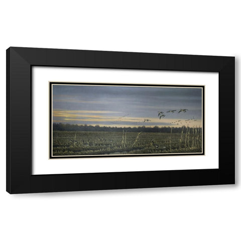 Canada Geese Black Modern Wood Framed Art Print with Double Matting by Goebel, Wilhelm