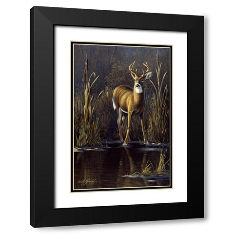 Whitetail Buck Black Modern Wood Framed Art Print with Double Matting by Goebel, Wilhelm