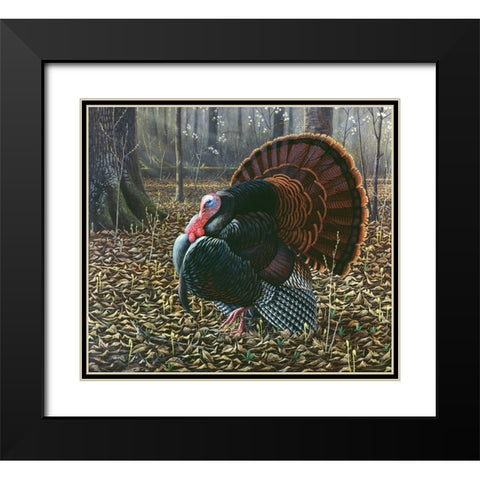 The King Of Spring - Wild Turkey Black Modern Wood Framed Art Print with Double Matting by Goebel, Wilhelm
